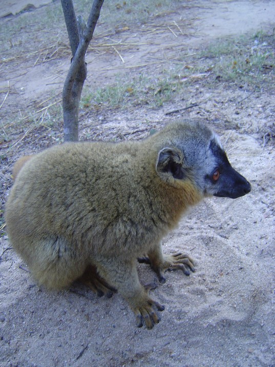 rencontres madagascar